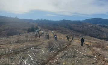 Пошумување на опожарена површина на Голак