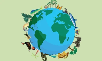 Trajnim i RAI-t për përfaqësues të Sektorit për mbrojtje të natyrës/biodiversitetit në sferën e Vlerësimit të rrezikut nga korrupsioni