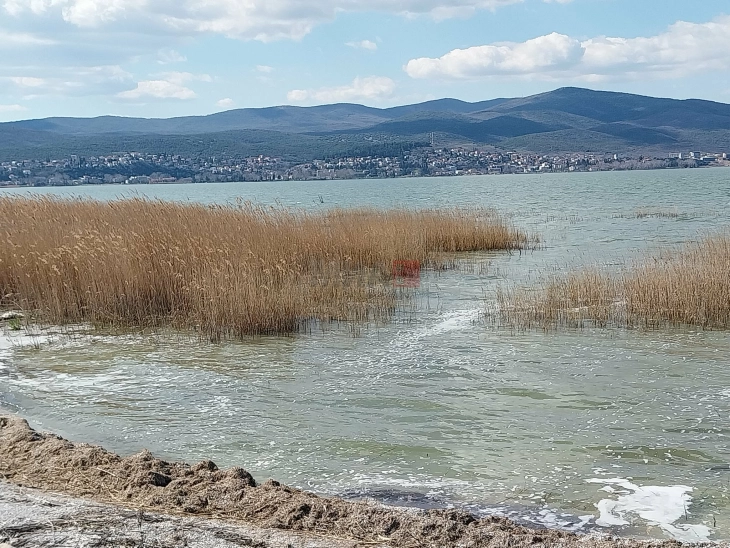 МИА на другата страна на Дојранското Езеро: Дојрани и Дојран ги разделува границата, ги спојуваат рибата и водата