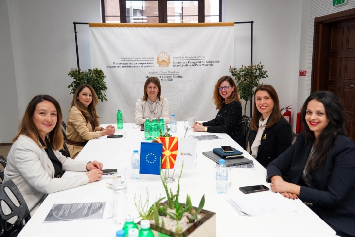 Онлајн настан со млади инженерки од пет земји: Жените можат да водат сè