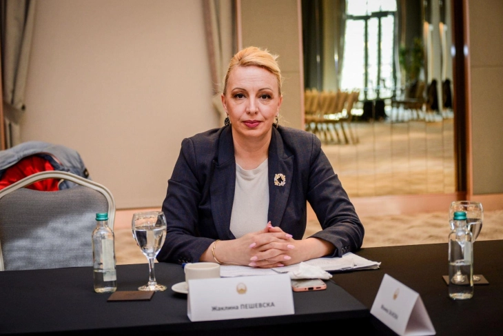 Тркалезна маса: „Предизвици во обезбедувањето поддршка и заштита на жртвите на насилство врз жени и семејно насилство“