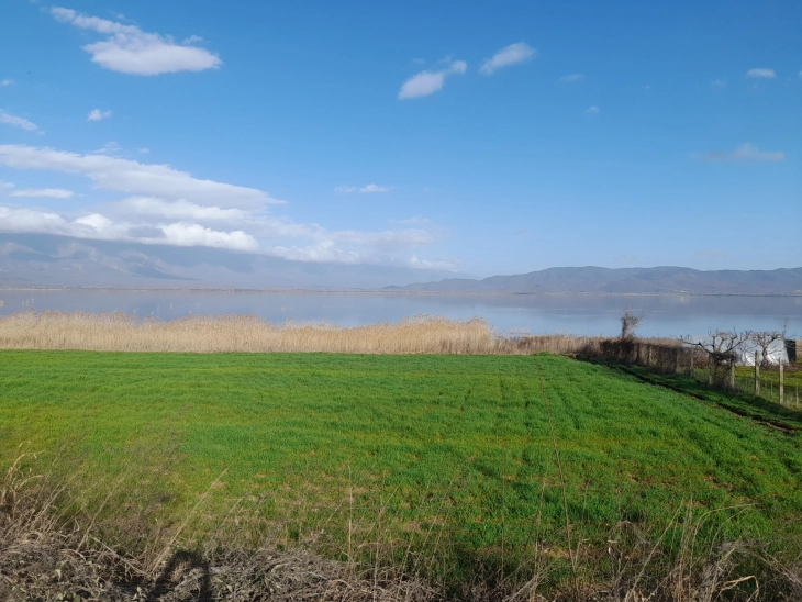 Поволни временски услови за успешен старт на пчеларството