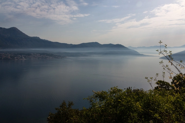 Истражување: Светските езера се загрозени од ширење на големи инвазивни животни