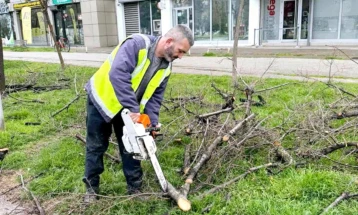 Голема акција за уредување на зелените површини во Општина Аеродром