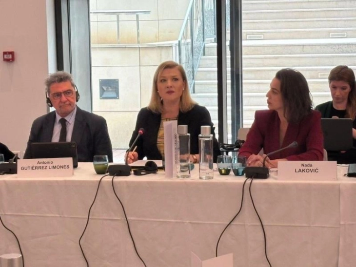 Vasilevska në takimin e Komisionit për Çështje Politike dhe Demokraci të APKE-së