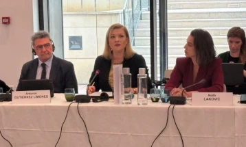 Vasilevska në takimin e Komisionit për Çështje Politike dhe Demokraci të APKE-së