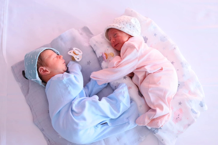 Nearly half as many births in 2024 compared to 60 years ago, fertility rate 1.34 in EU, 1.44 in Macedonia