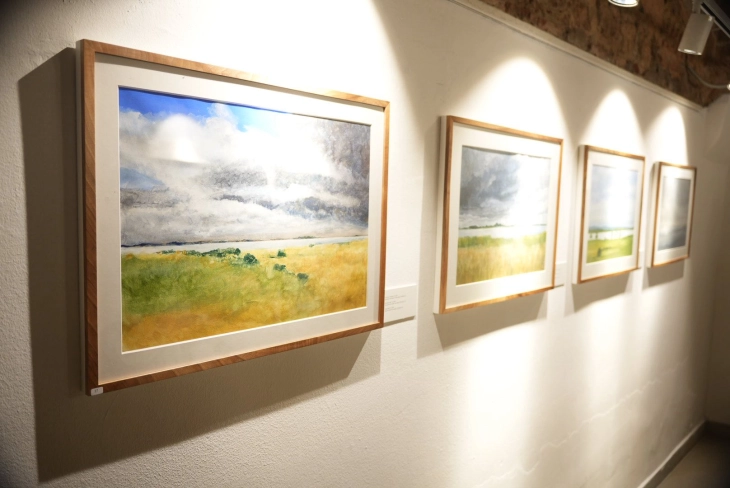 Современа австриска уметност во Чифте амам: отворена изложбата „Флора - фауна - покриви“