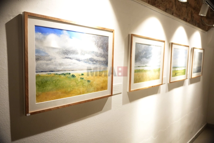 Arti Bashkëkohor Austriak në Çifte Hamam: Hapet Ekspozita 