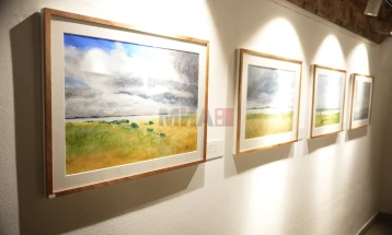 Arti Bashkëkohor Austriak në Çifte Hamam: Hapet Ekspozita 