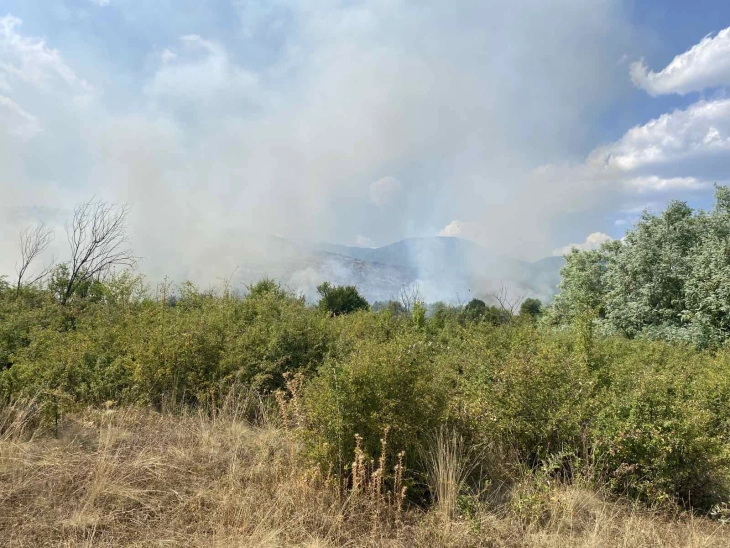 Dy helikopterë të Armatës  po shuajnë zjarrin në malin Jabllanicë