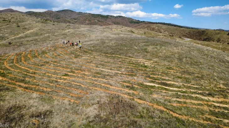 Триста млади багреми засадија планинарите на „Осоговски орел“ за сеќање на 63 жртви во „Пулс“