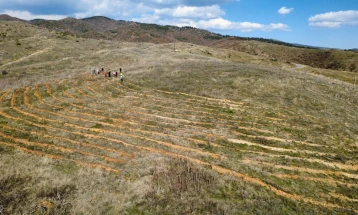 Триста млади багреми засадија планинарите на „Осоговски орел“ за сеќање на 63 жртви во „Пулс“
