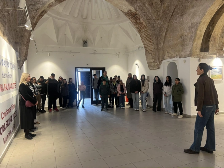 „Флора, фауна и покриви“ - ликовна работилница во Чифте амам