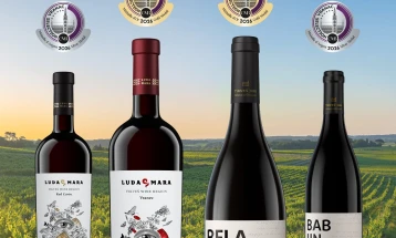 „Тиквеш“ со нов меѓународен успех: три златни и два сребрени медали на Vranac Selection by Concours Mondial de Bruxelles 2026