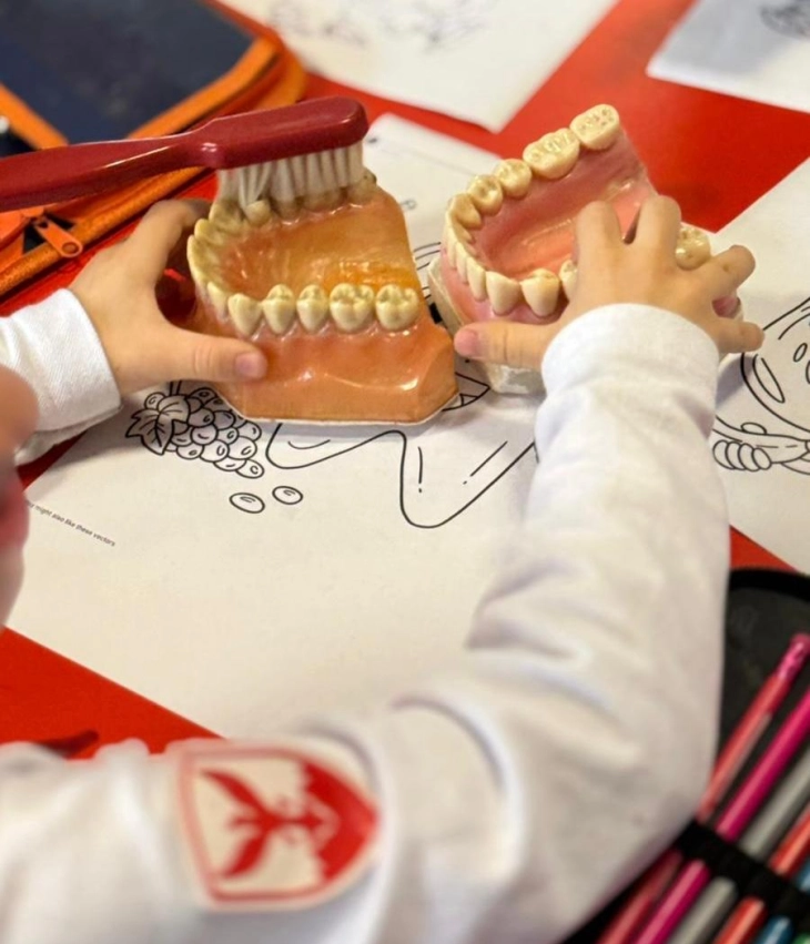 Општина Центар: Бесплатни стоматолошки прегледи за децата и пензионерите по повод Светскиот ден на оралното здравје