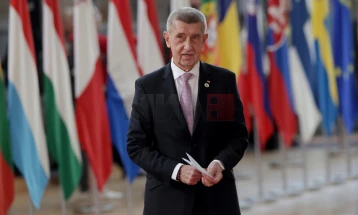 Andrej Babish me kritika të ashpra ndaj Izraelit për shkak të rritjes së çmimeve të energjisë