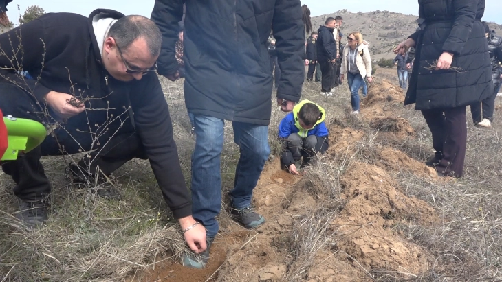 На денот на пролетта во комплексот Маркови Кули кај Прилеп засадени  6 000 садници