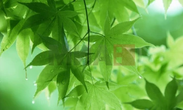 Променливо облачно со сончеви периоди,  попладне локален слаб дожд