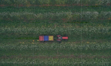 Светски ден на метеорологијата: македонското земјоделство веќе ја живее климатската криза