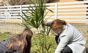 Со садење палми општина Валандово ја одбележа пролетта