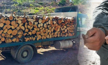 Кривична пријава против три физички и едно правно лице, го оштетиле буџетот на ЈП „Национални шуми“ за над три милиони денари