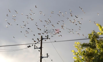 Mot me vranësira të ndryshueshme, temperatura deri në 18 gradë