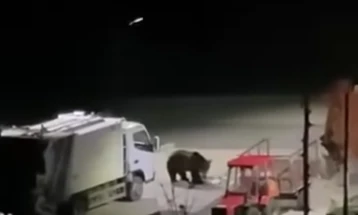 Një ari është parë në një parking në Rostushë, në territorin e PK 