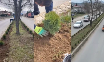 Над 500 нови садници во центарот на Делчево