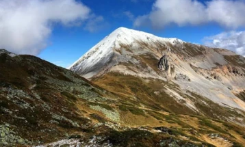 Road condition report