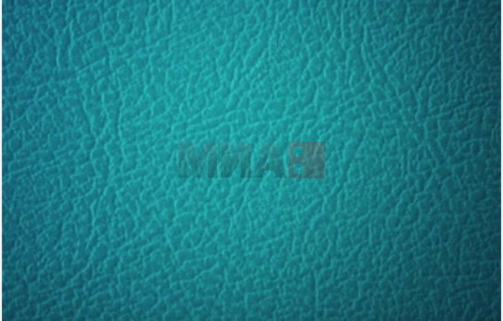 Научници и дизајнери од Амстердам, претставија торба направена од кожа од Ти-рекс добиена по вештачки пат