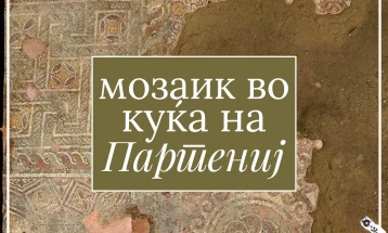 По долго време се открива уште едно скриено богатство на Стоби - мозаик во Куќата на Партениј
