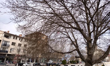 Уништување на минско-експлозивни средства и неексплодирани убојни средства утре на полигонот „Криволак“