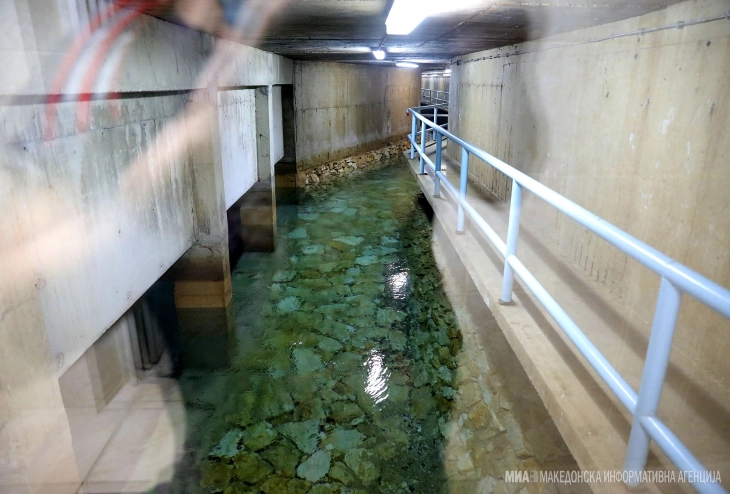 Состојбата со Рашче е стабилна, се испитуваат три позиции во Скопје, кои би биле алтернатива