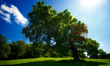 Mot me vranësira të ndryshueshme dhe më freskët me periudha me diell