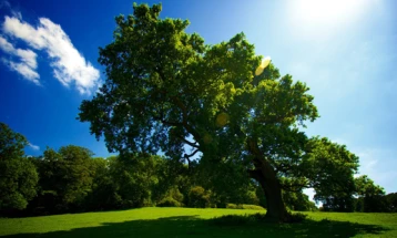 Weather: Overcast with sunny spells