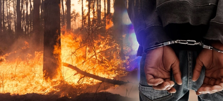 Приведен радовишанец осомничен за предизвикување пожар што зафатил шума и викендичка на Плачковица