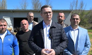 Трипуновски: Откупот на зелката се одвива непречено, досега откупено околу 35 милиони тони