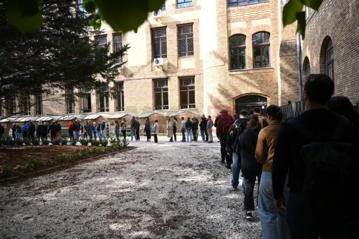 Излезноста на изборите во Унгарија до 11 часот речиси 38 отсто