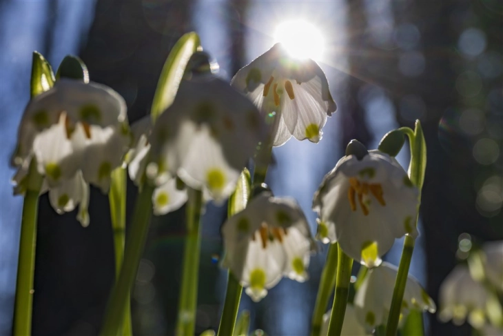 Сончево со умерена облачност
