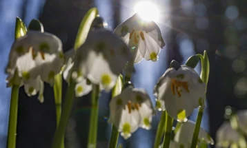 Moti me diell dhe me vranësira mesatare