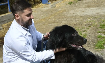 Macedonian shepherd dog Karaman recognized by FCI