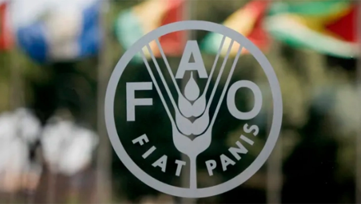 ОН: Кризата во Ормуската Теснина може да предизвика глобална катастрофа во земјоделството