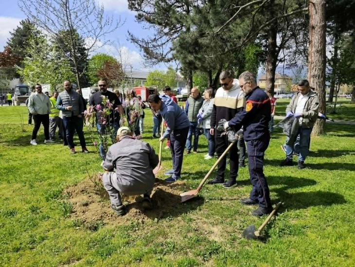 Aksion ekologjik për një qytet më të pastër dhe më të gjelbër