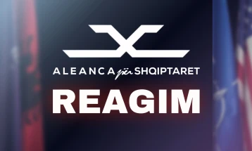 ASH: Edhe pas dy vitesh në pushtet, VLEN ende nuk ka arritur të sigurojë zëvendësdrejtor shqiptar në ASHMAA