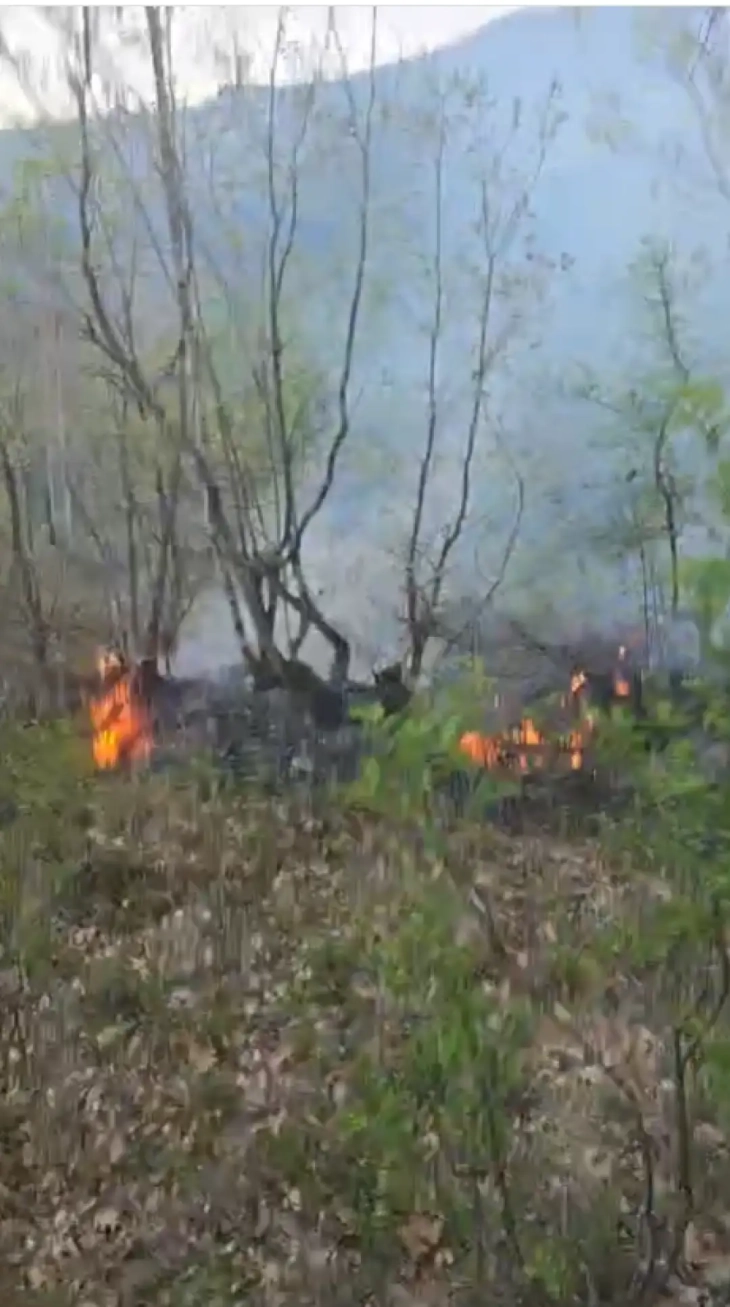 Изгаснат пожарот во Липковско