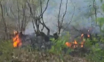 Изгаснат пожарот во Липковско