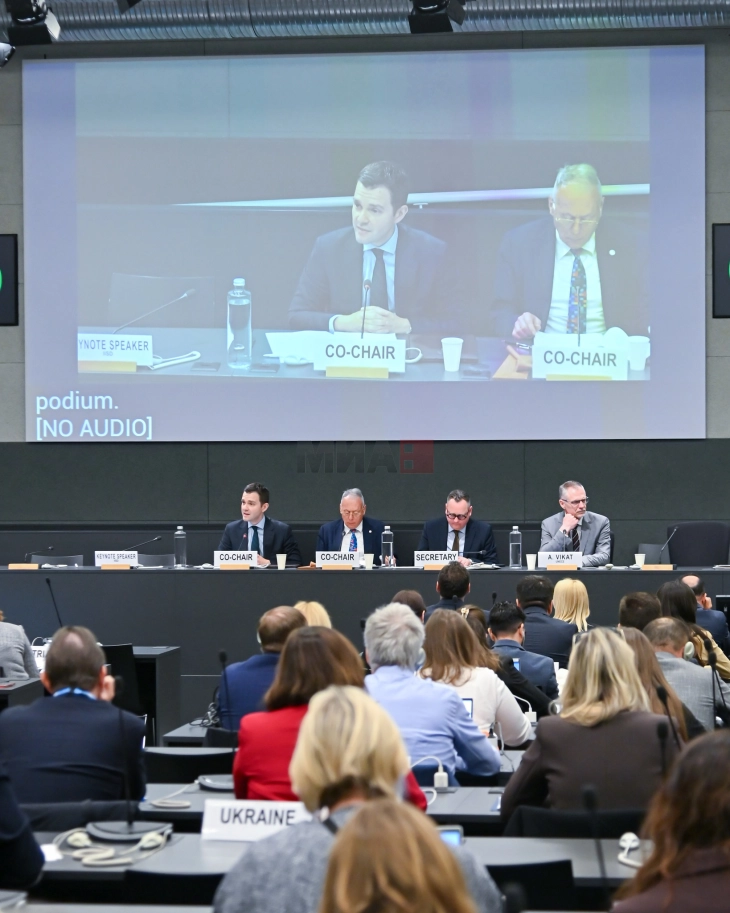 Mucunski bashkëkryesues me Forumin Rajonal për Zhvillim të UNECE në Gjenevë