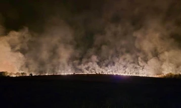 Нискостеблеста шума горела во кумановско Облавце