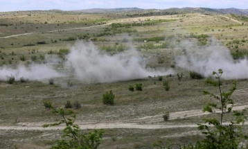 Активен пожарот кај крушевско Борино, под контрола е на Јаесен и кај село Белица